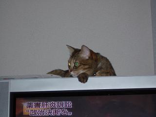 f0081594_22535681.jpg