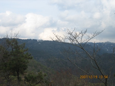 c0147398_19163599.jpg
