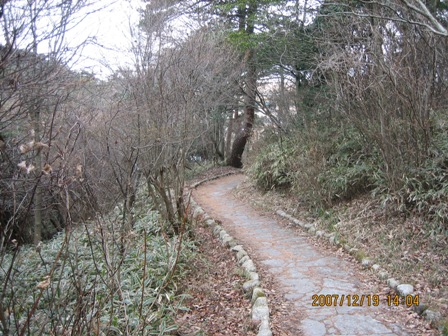 c0147398_19193088.jpg