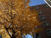 f0153998_20422827.jpg