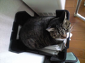 c0035001_1541742.jpg