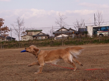 d0080601_10545922.jpg