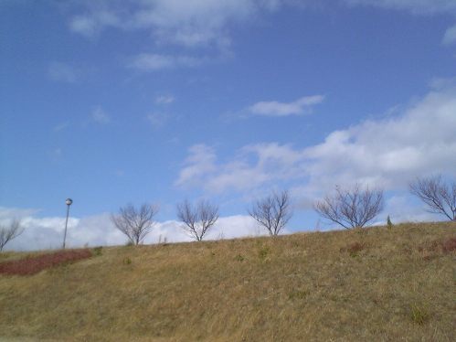 e0119017_3263942.jpg