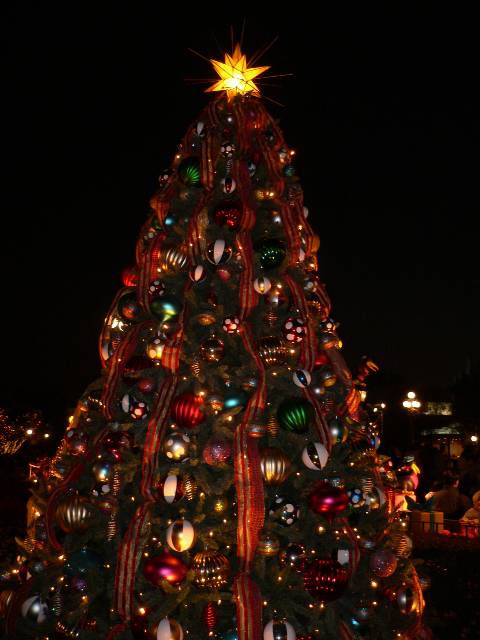 f0117618_1841673.jpg