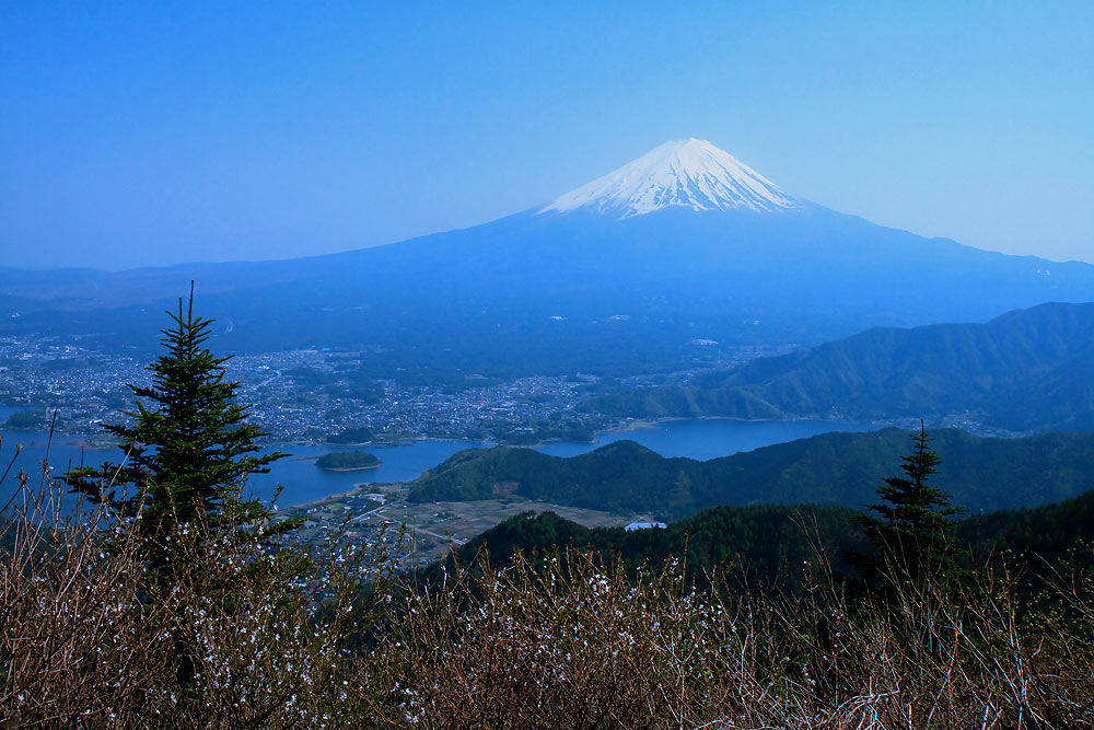 f0035323_2275358.jpg