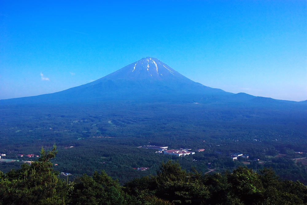 f0035323_248957.jpg