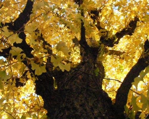a0019224_305167.jpg