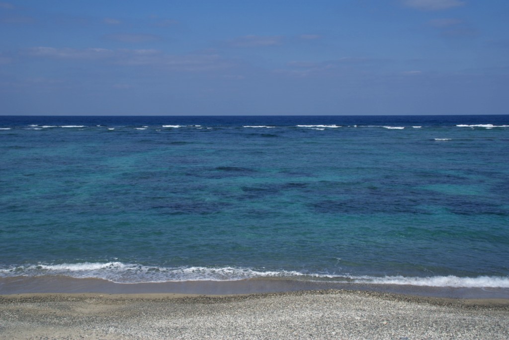 d0053930_6341588.jpg