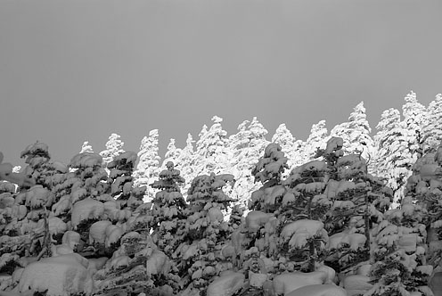 e0025030_174233.jpg