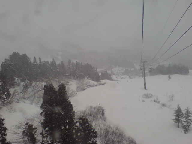 c0054838_820685.jpg