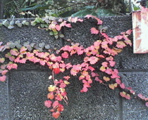 a0068339_23504643.jpg