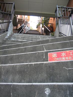 b0086939_22511485.jpg