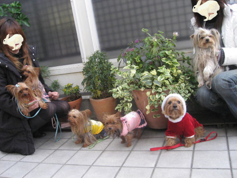 c0033145_230272.jpg
