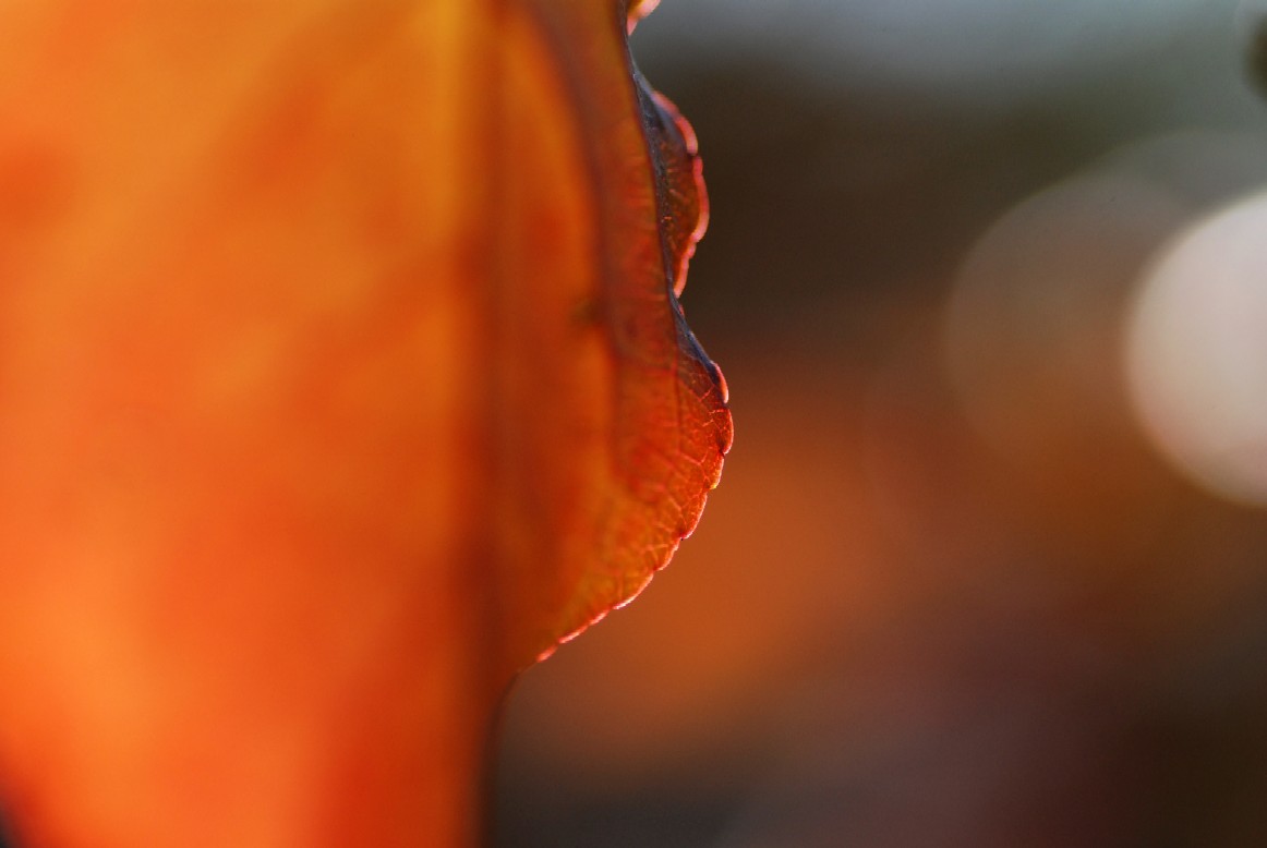 e0009147_2022784.jpg