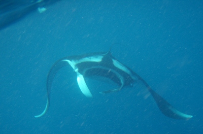 e0027447_1133081.jpg