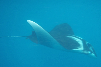 e0027447_1173865.jpg
