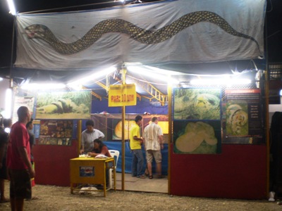 e0027447_21531534.jpg
