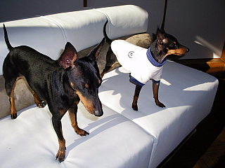 c0123149_14374199.jpg
