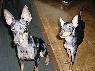 c0123149_14484247.jpg