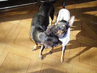 c0123149_150333.jpg