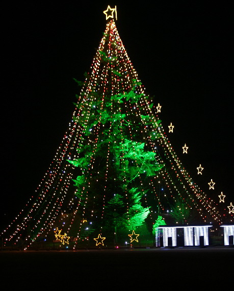 d0013149_02230.jpg