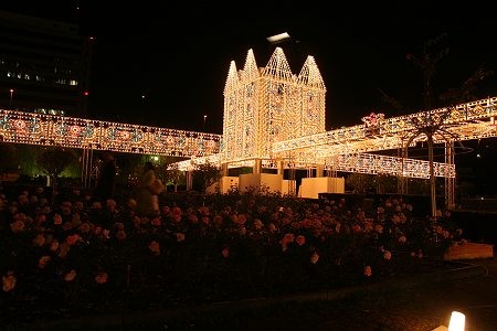 d0048067_19253100.jpg