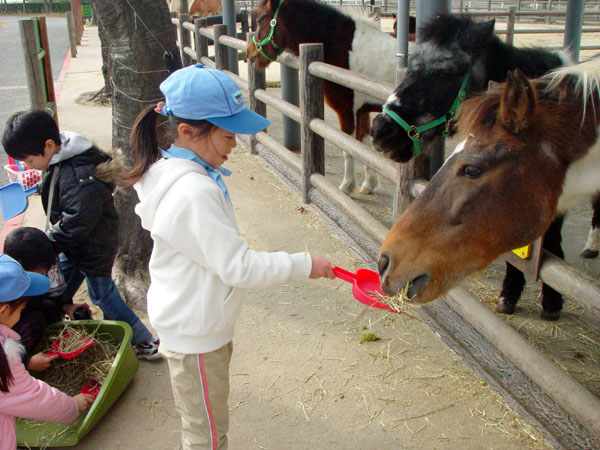 a0068370_2252597.jpg