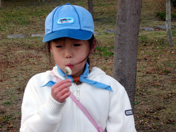 a0068370_23154419.jpg