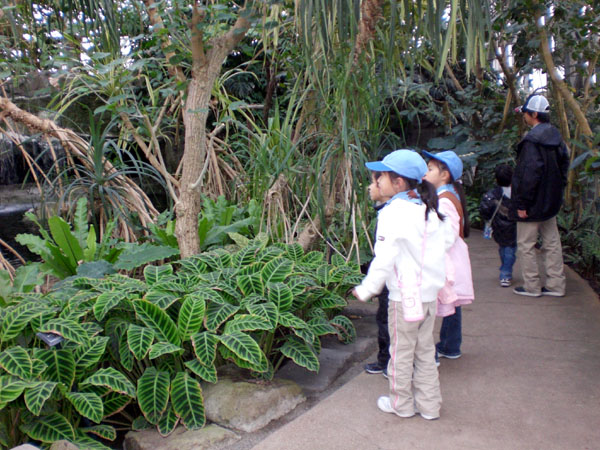 a0068370_2344331.jpg