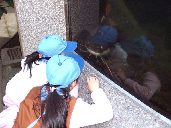 a0068370_234549.jpg