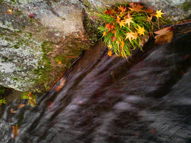 f0089079_116980.jpg