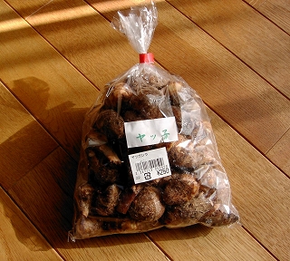 a0091680_221271.jpg