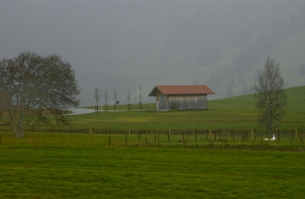 d0118588_23591798.jpg