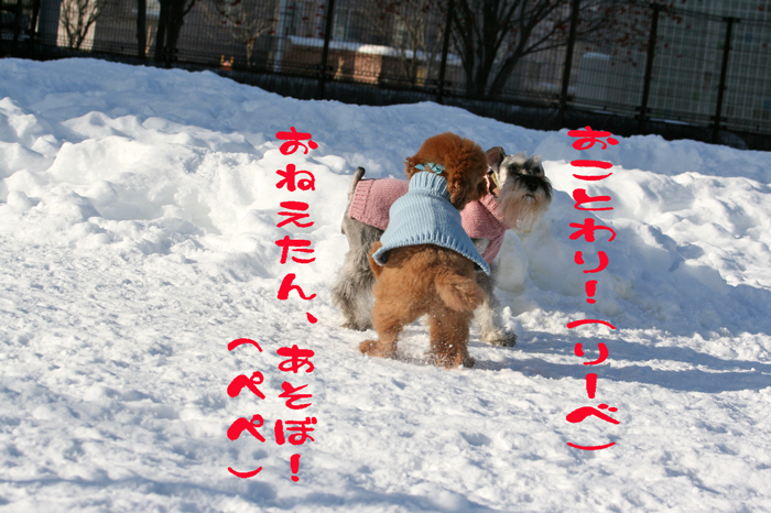 f0001895_16622100.jpg