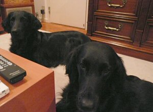 c0050400_1283016.jpg
