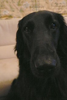 c0050400_1284331.jpg