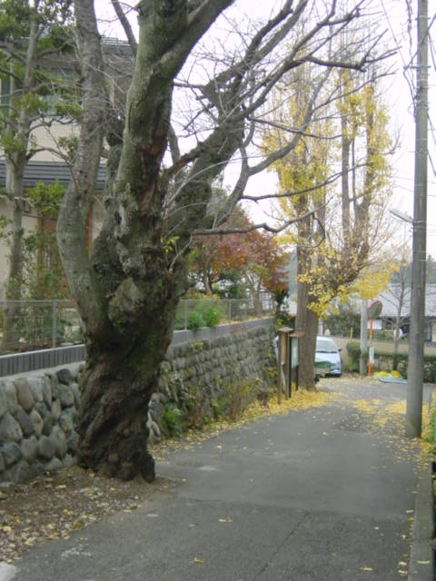 b0083902_2114033.jpg