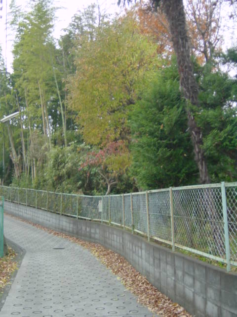 b0083902_211450100.jpg
