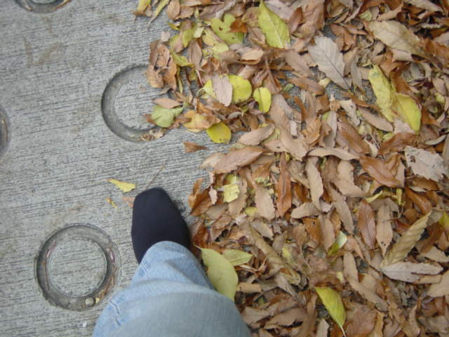 b0083902_21153463.jpg
