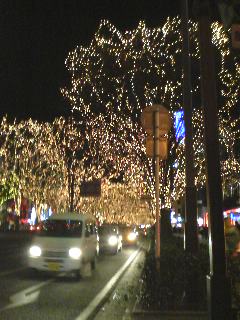 b0079206_18441049.jpg