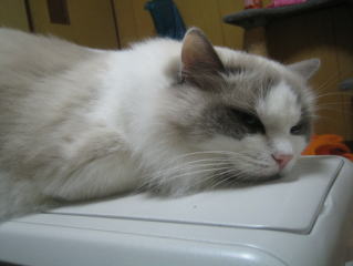 c0024410_0283663.jpg