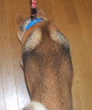 f0152315_0263121.jpg