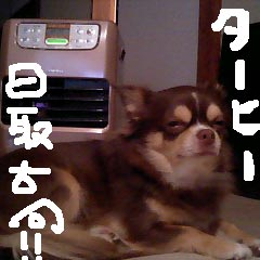 c0036617_11241918.jpg