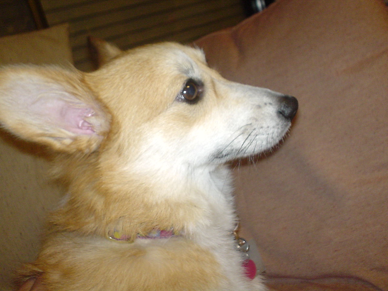 c0150520_1573947.jpg
