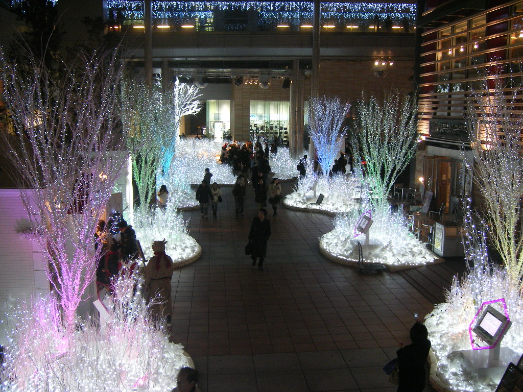 e0019320_209889.jpg