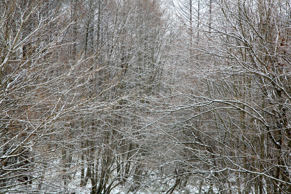 f0081726_20473514.jpg