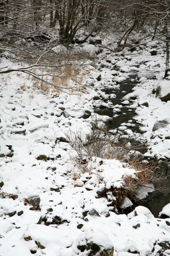 f0081726_2134840.jpg