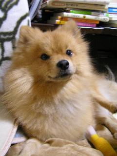 c0141335_15322320.jpg
