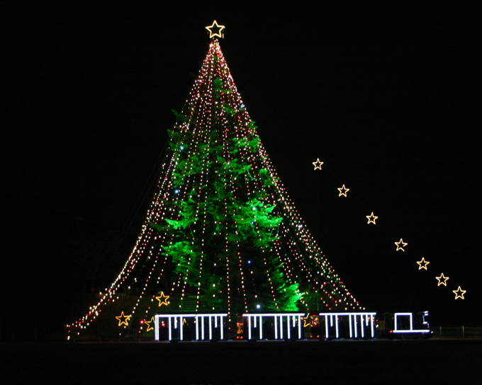 a0051443_1183821.jpg