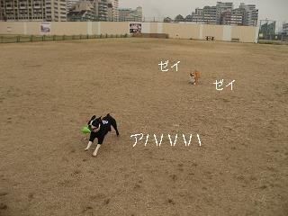 e0126046_23143299.jpg